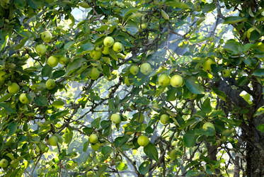 Similar image 6303826