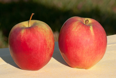 Similar image 6303840