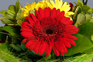 Similar image 6303844