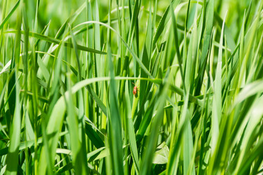 Similar image 6303875