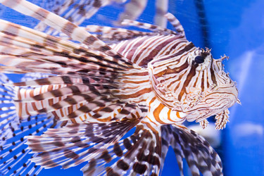 Similar image 6303879