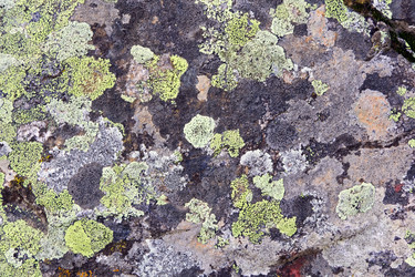 Similar image 6303883