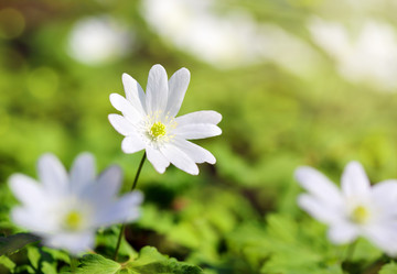 Similar image 6303923