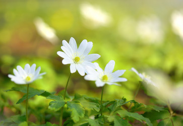 Similar image 6303924