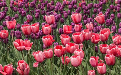 Similar image 6303987