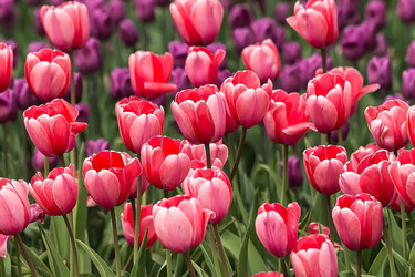 Similar image 6303988