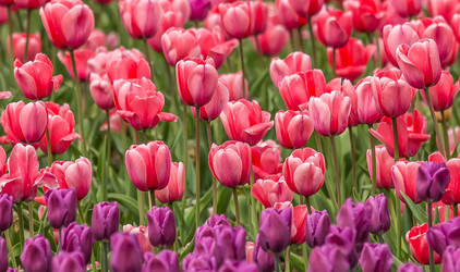 Similar image 6303989