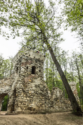 Similar image 6303993