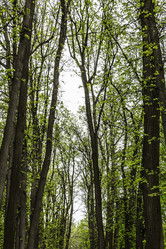 Similar image 6303994