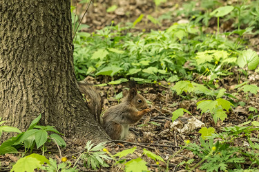 Similar image 6303998