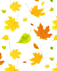 Similar image 6304037