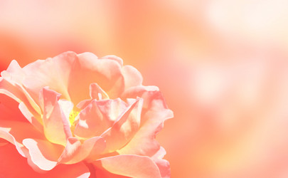 Similar image 6304042