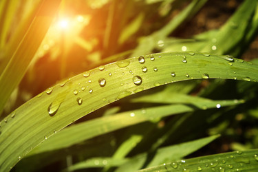 Similar image 6304048