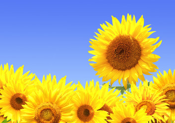 Similar image 6304051