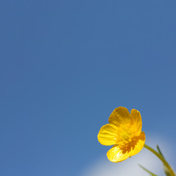 Similar image 6304052