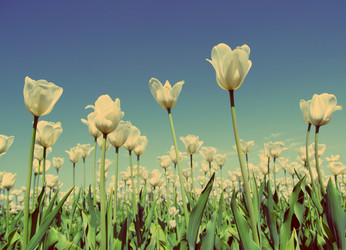 Similar image 6304056