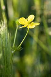 Similar image 6304072