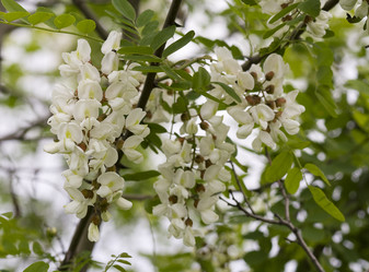 Similar image 6304076