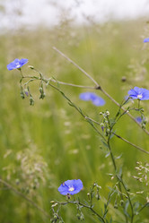 Similar image 6304077