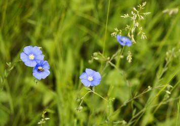 Similar image 6304078