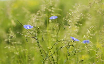 Similar image 6304079