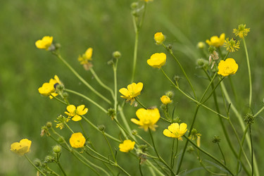 Similar image 6304080