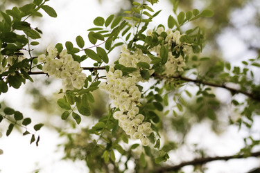 Similar image 6304081