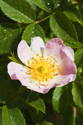 Similar image 6304083