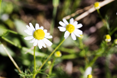 Similar image 6304084