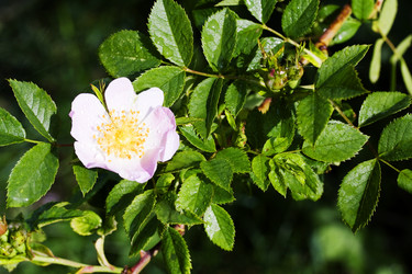 Similar image 6304085