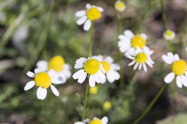 Similar image 6304086