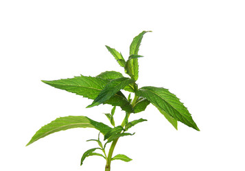 Similar image 6304092