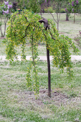 Similar image 6304115