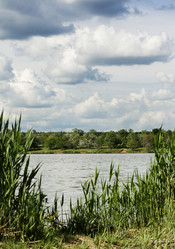 Similar image 6304117