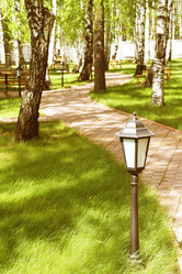 Similar image 6304128