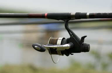 Similar image 6304135