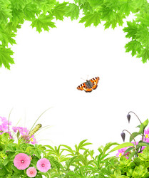 Similar image 6304320