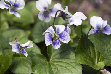 Similar image 6304321