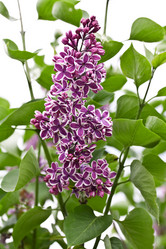 Similar image 6304322