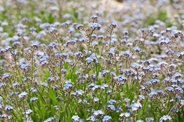 Similar image 6304324