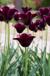 Similar image 6304326