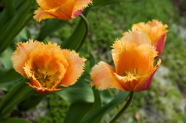 Similar image 6304327