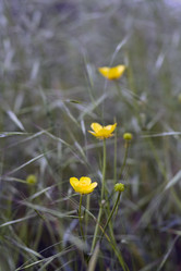 Similar image 6304328