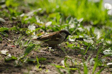 Similar image 6304356