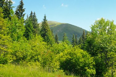 Similar image 6304382