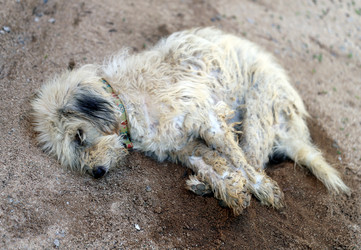 Similar image 6304439