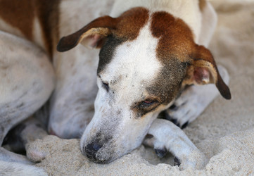 Similar image 6304440