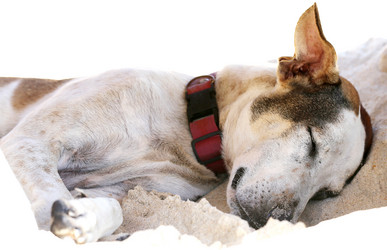 Similar image 6304441