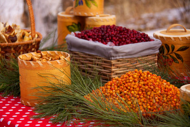 Similar image 6304444