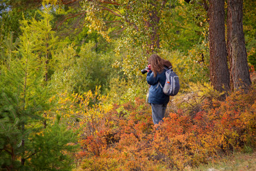 Similar image 6304451